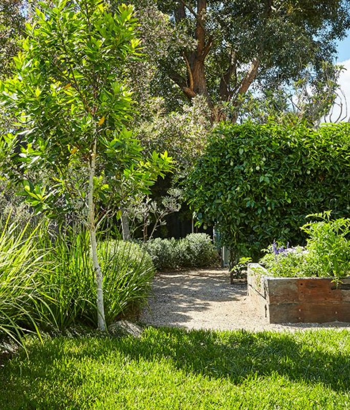 Pepo’s guide to growing herbs