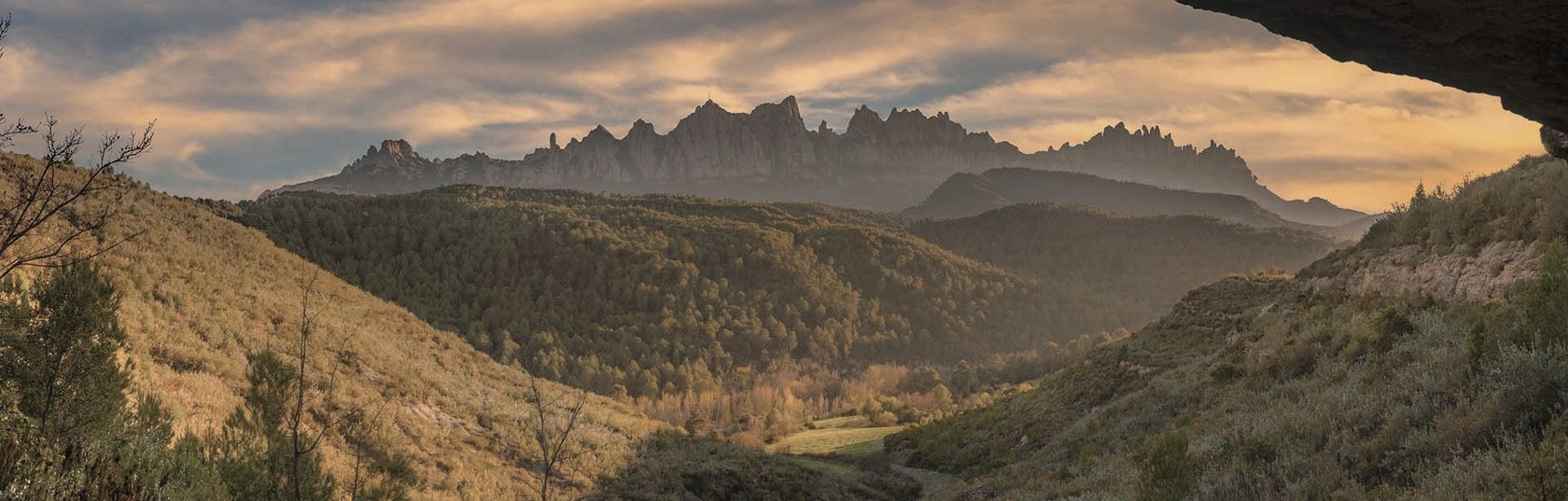  2021 PEFC Photo Contest – Magical forests impress PEFC Spain’s jury
