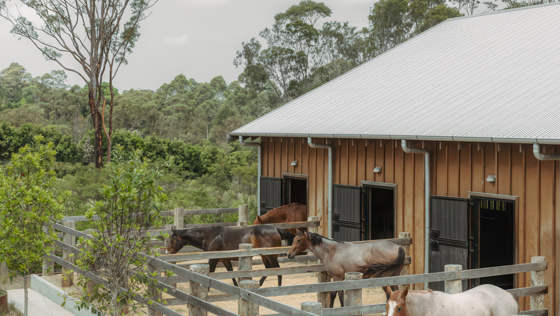 The architecture of acreages: Design guidelines for rural homes