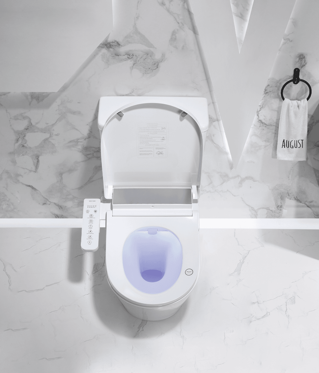 Reason to get a Bidet Toilet Seat
