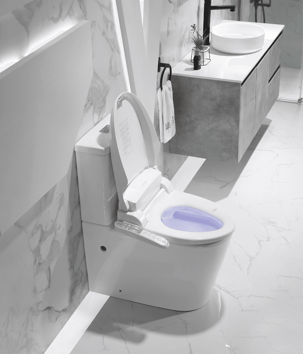 What Should I Look for While Buying a Bidet Toilet Seat?