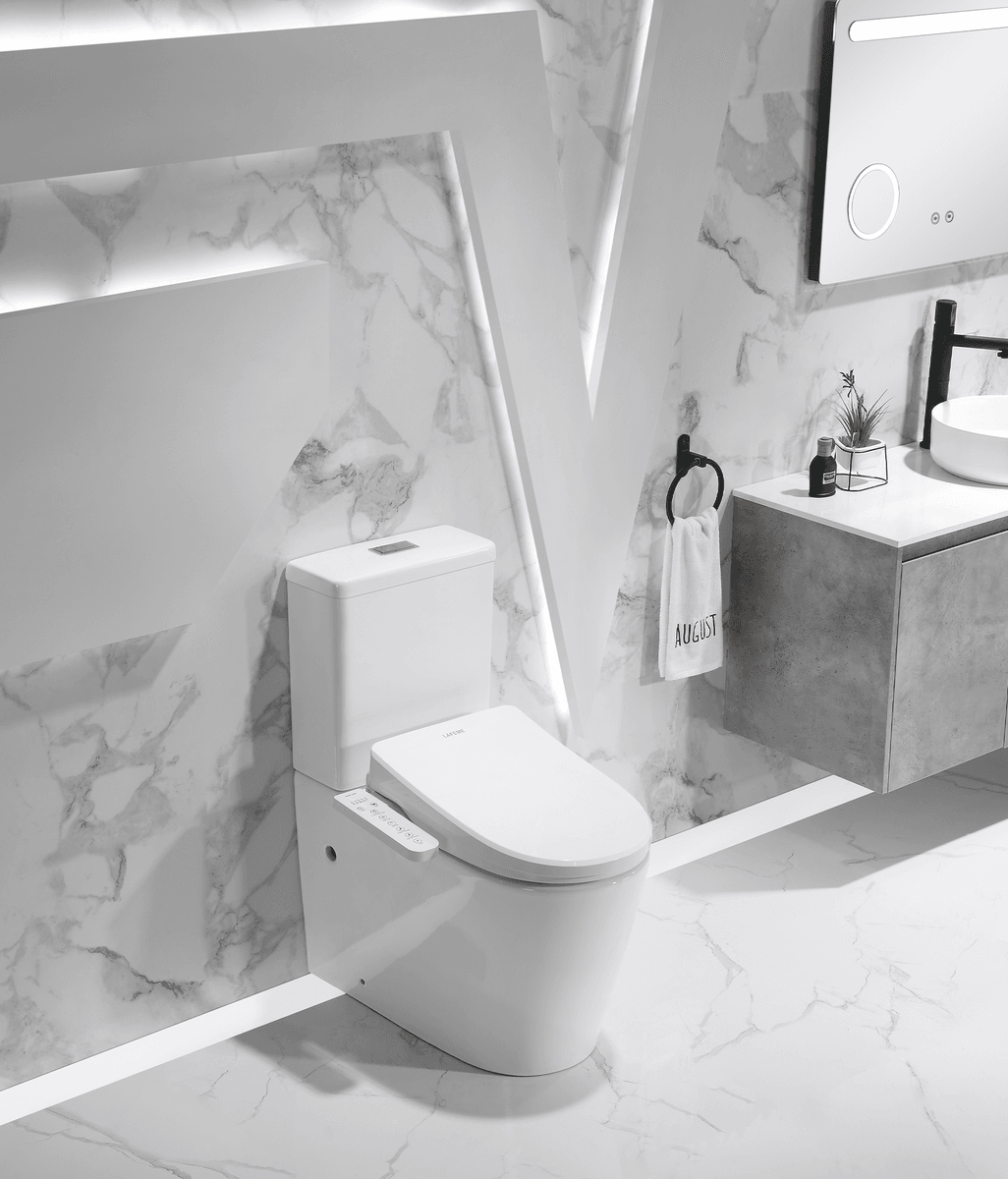 Buying a Bidet Toilet in Australia – 6 Important Things You Must Know