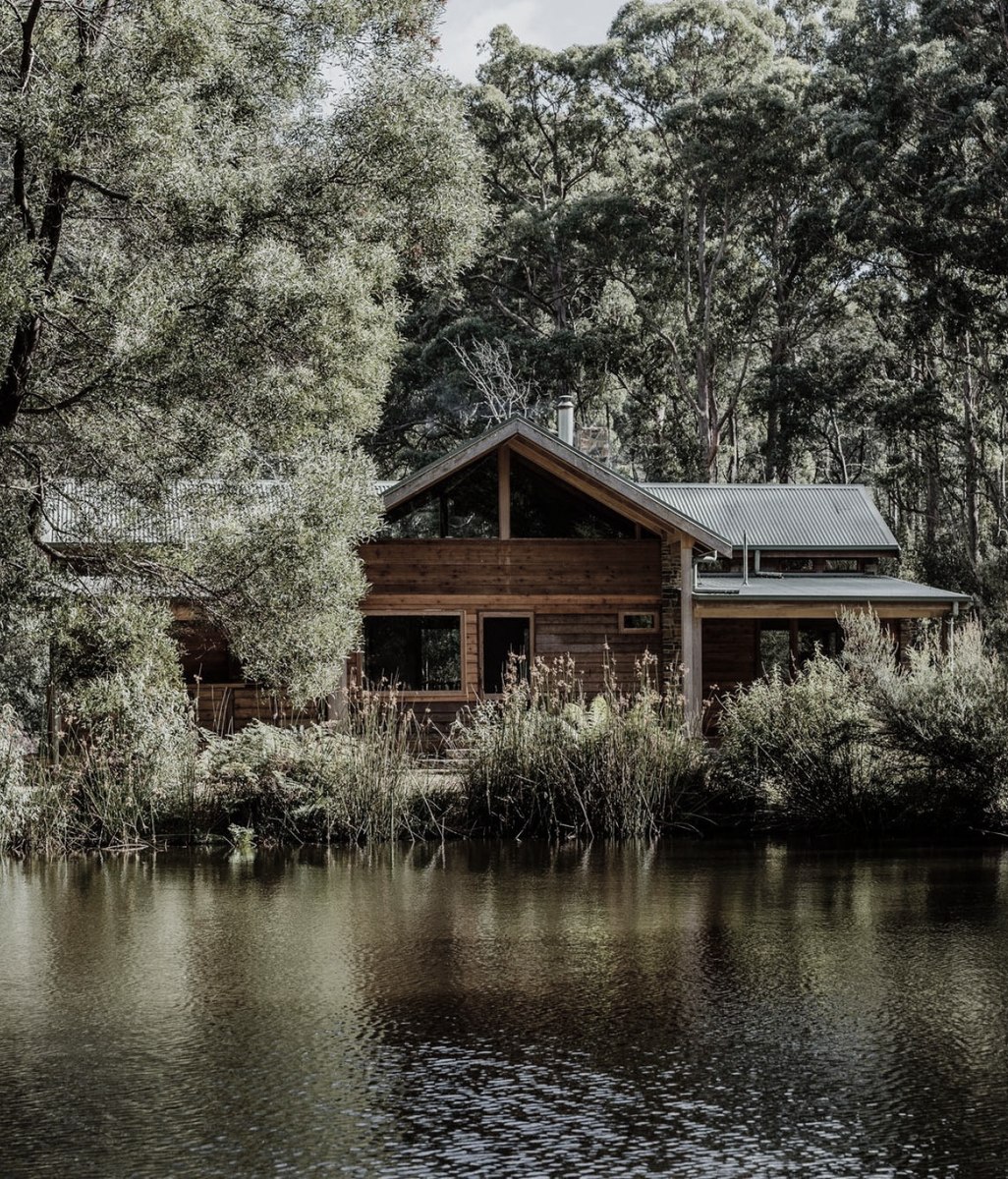 A cottage in the woods built in response to land and climate