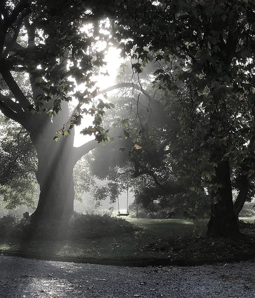 Dream gardens and movie magic: How pop culture can inspire your next outdoor project