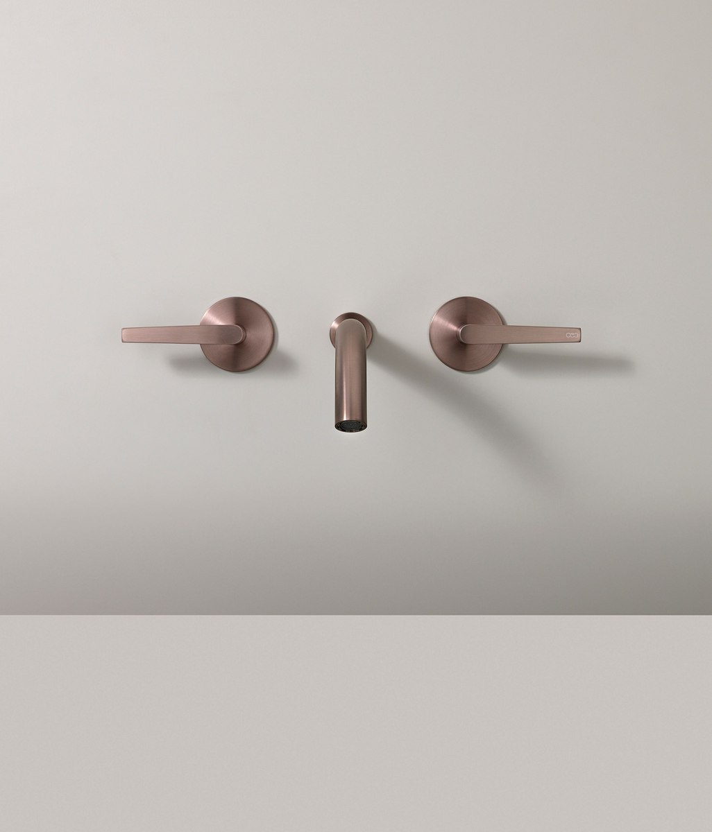 Engineered Elegance: CEA and the Future of Sustainable Design