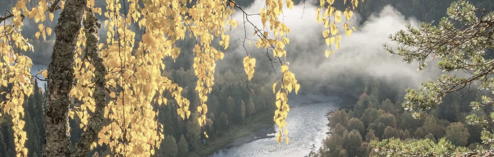 Finland’s photo contest winners impress with stunning landscape photos