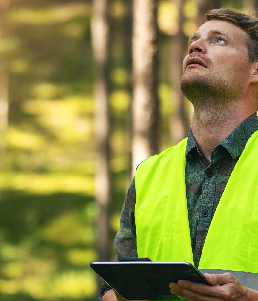 Safeguarding the Future: The Imperative of Responsible Forestry Management for Wood Product Sustainability