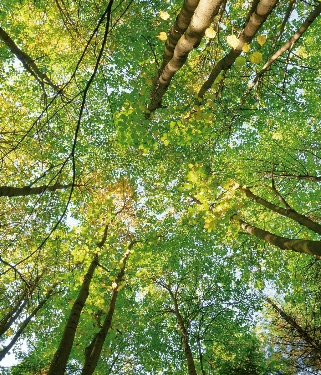 Sustainability at Hettich