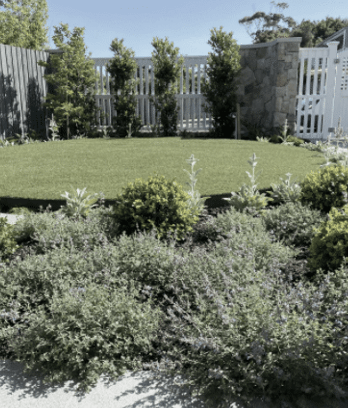 Landscape Plan as Part of Town Planning: Why they commonly cause you an issue