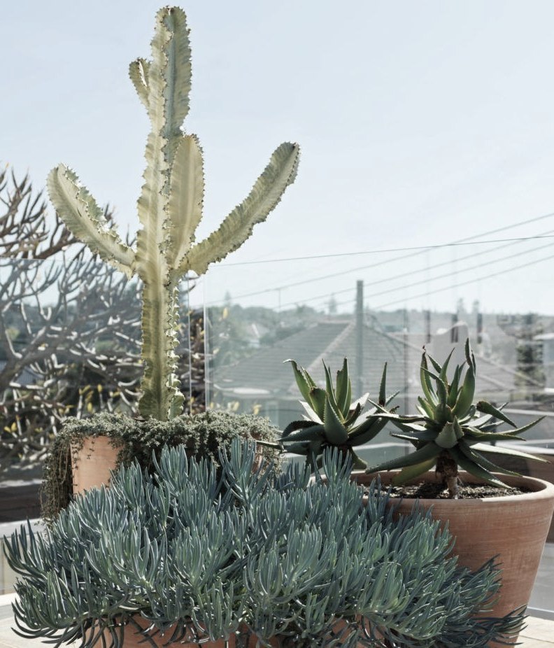 Gardening during Isolation