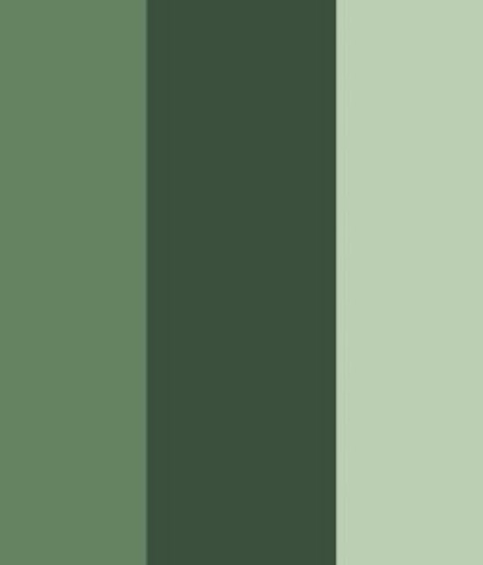 Psychological Properties Of Colours – Green