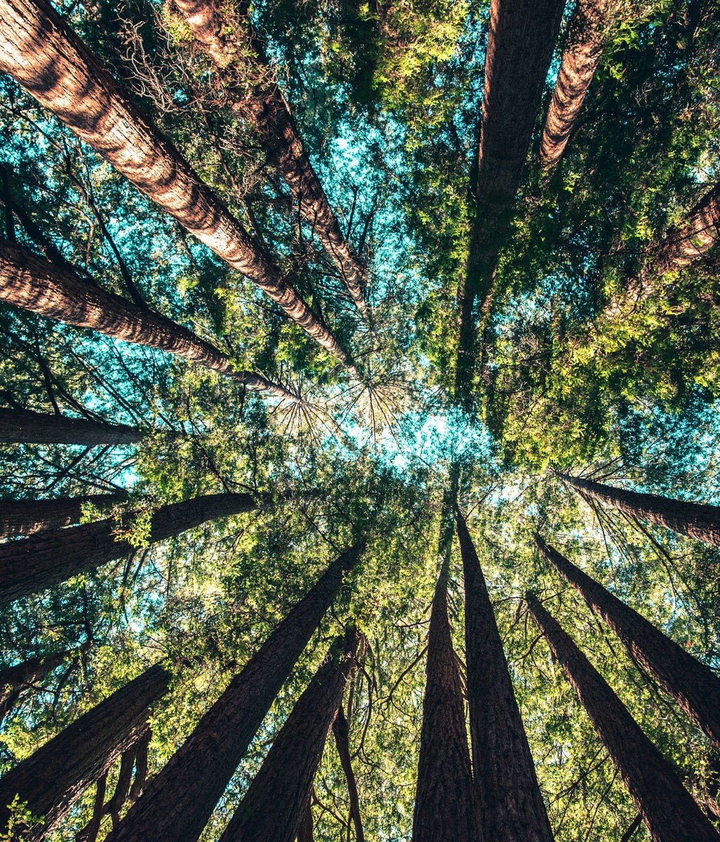 Supporting product circularity in the New Zealand building industry