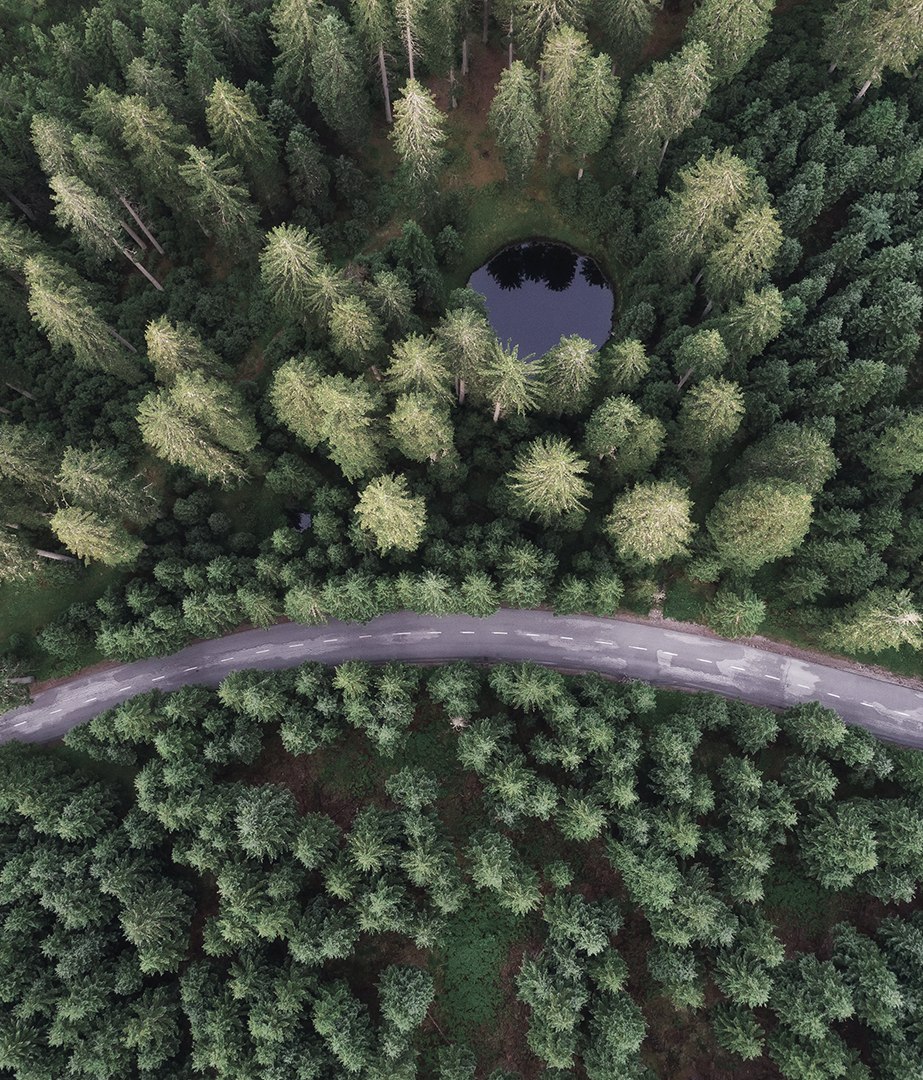 Havwoods Leads the Way in Sustainable Timber Flooring