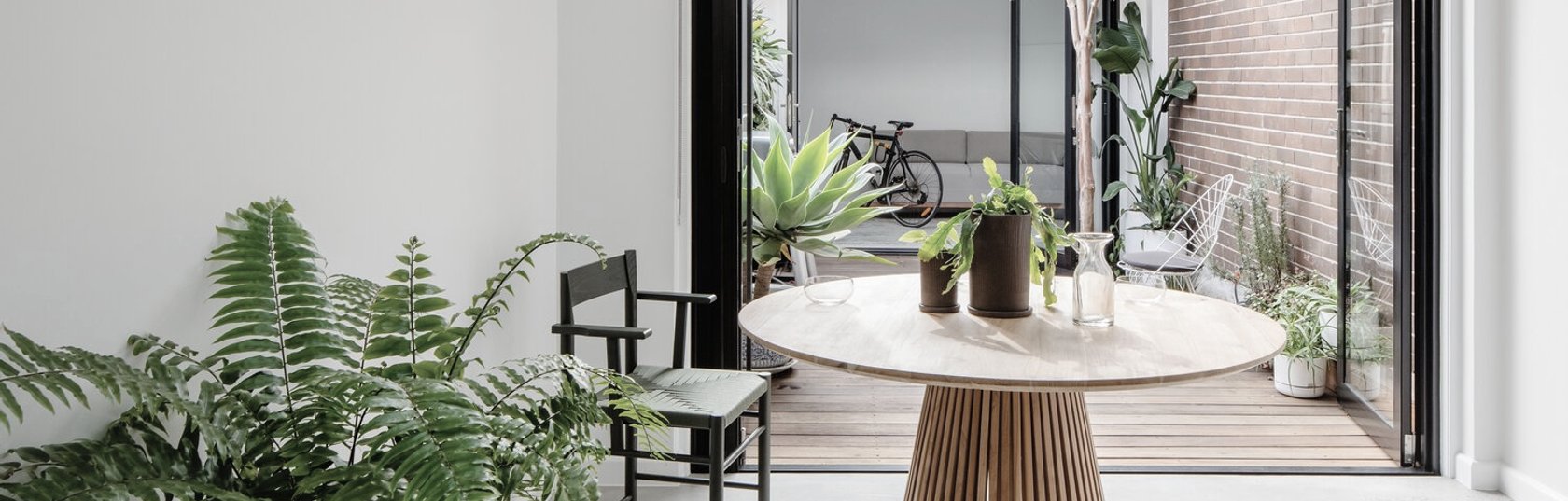 A Paddington terrace home designed for modern living