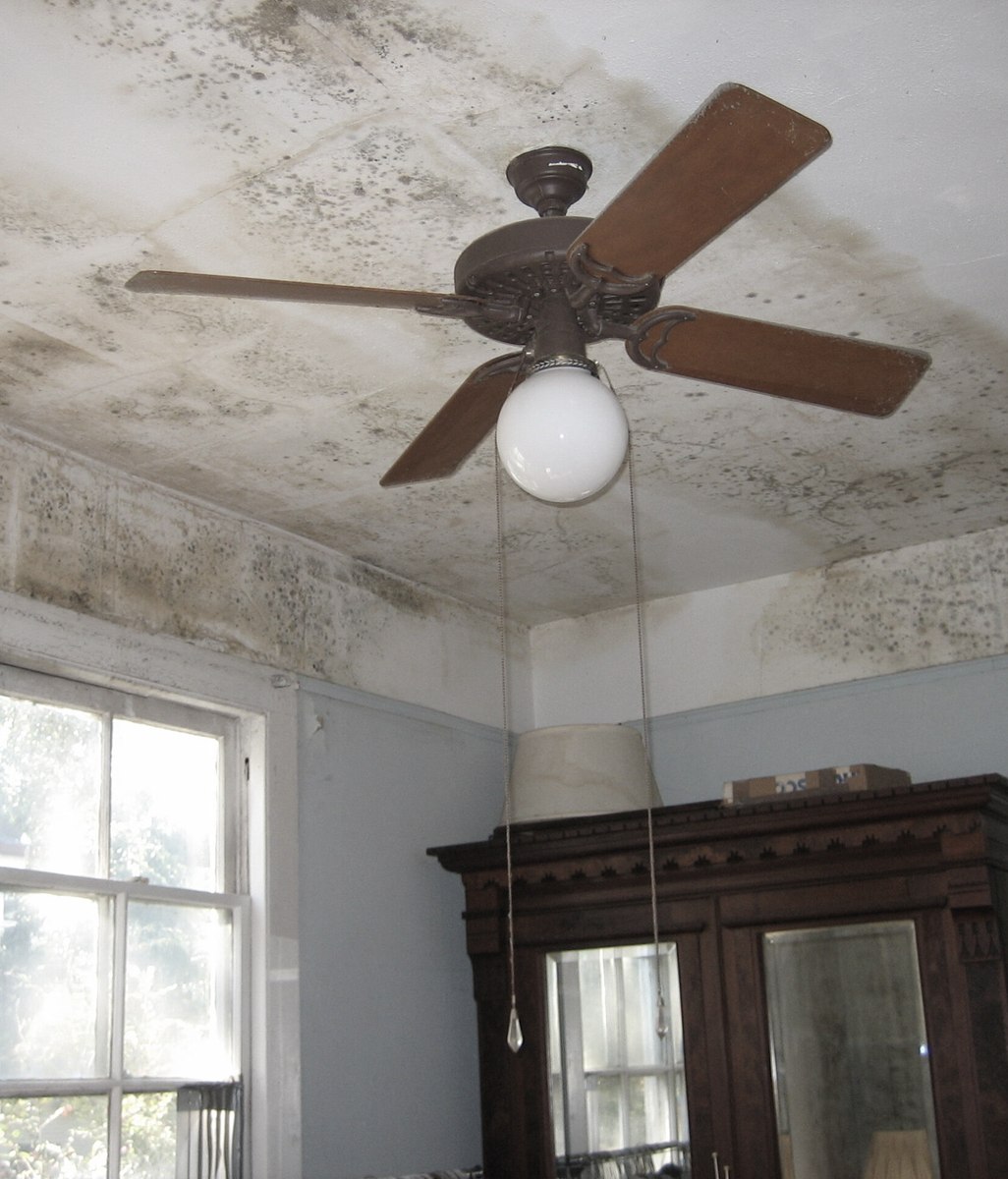 Internal Heating & Mould