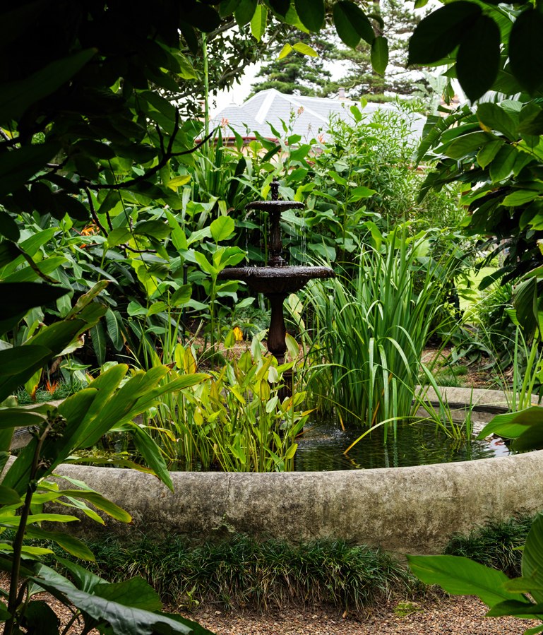 Looking after your garden when it's cold and wet