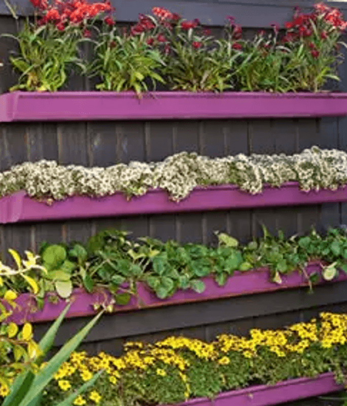 Vertical Garden