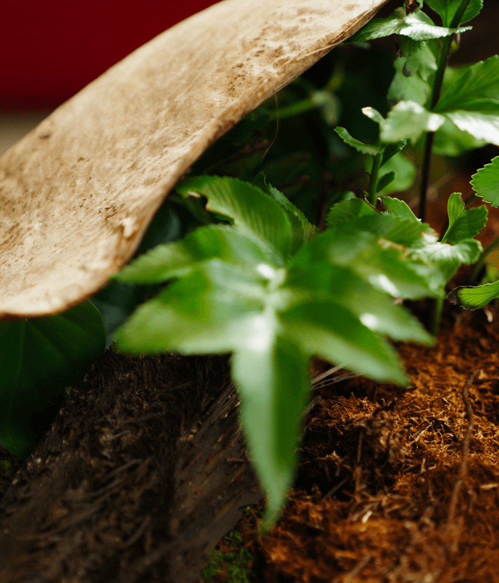 Case Study: Transforming Urban Spaces with GreenAir