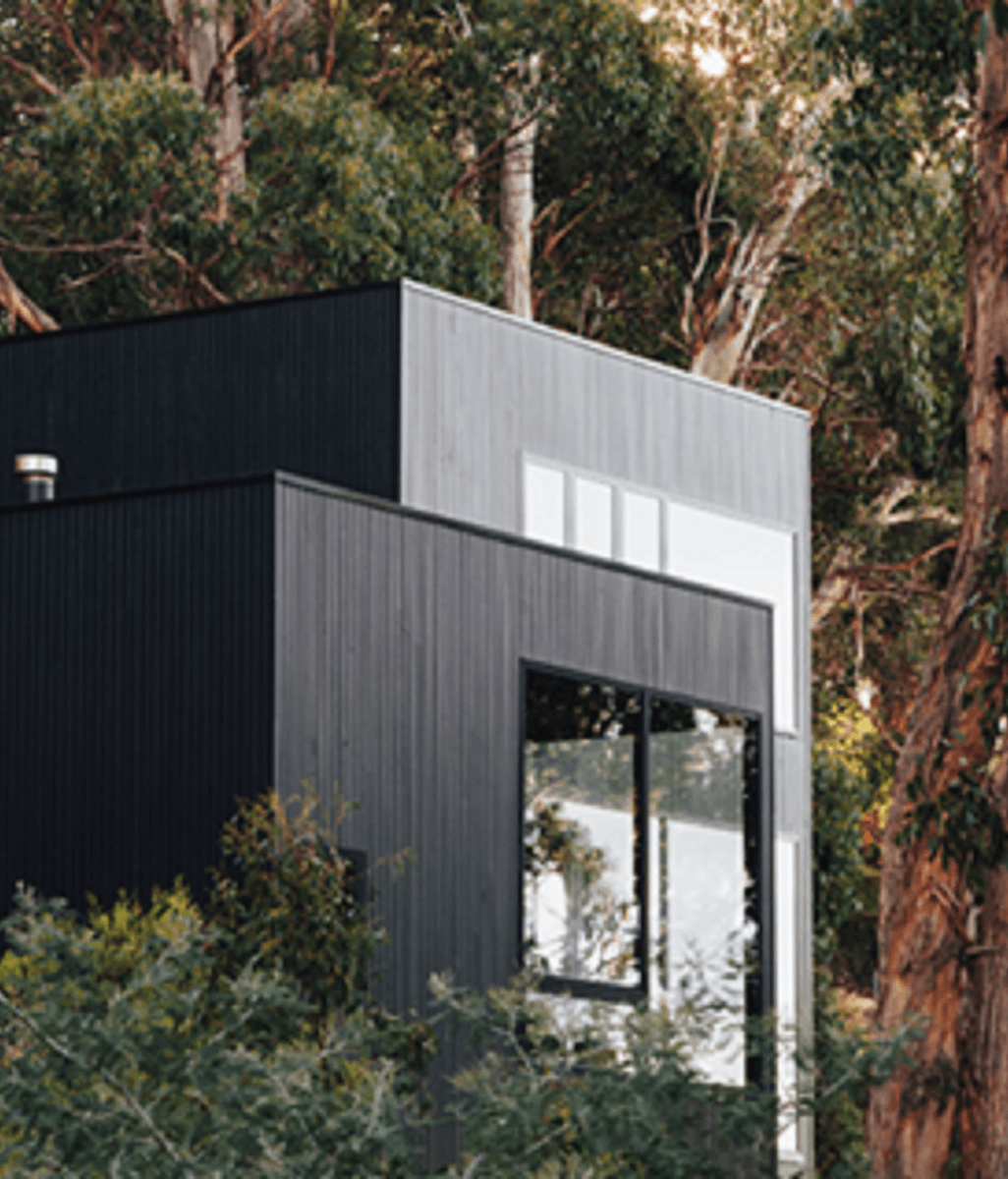Discover the Elegance of Porter’s Paints Palm Beach Black