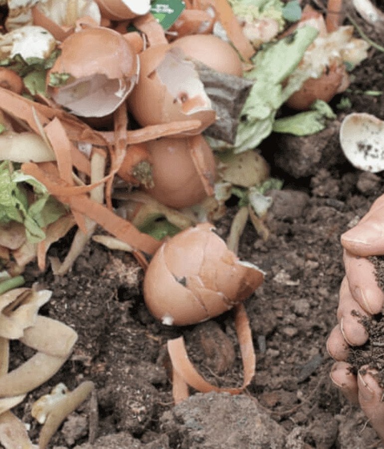 How to Make Compost