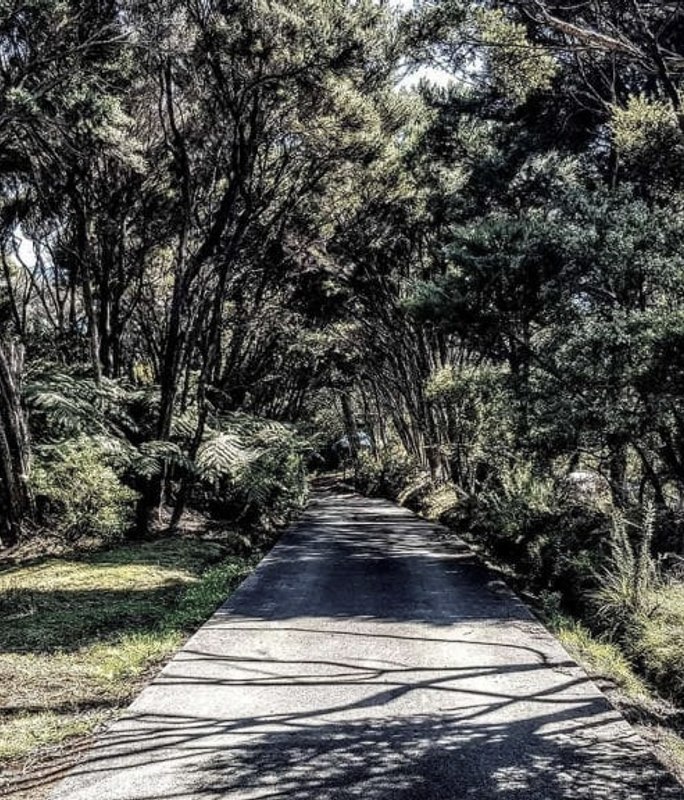 Why Landscaping Matters for the Environment