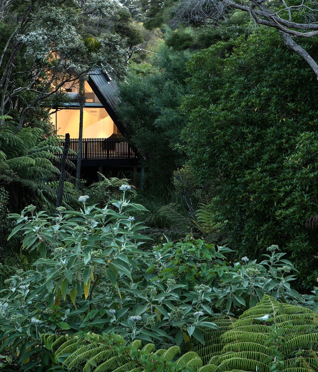 Island life: four of the best modern Kiwi beach houses