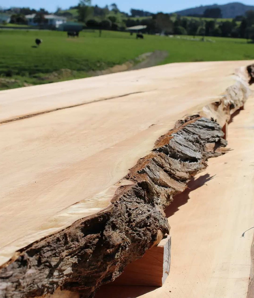 Wood Slabs in Commercial Spaces