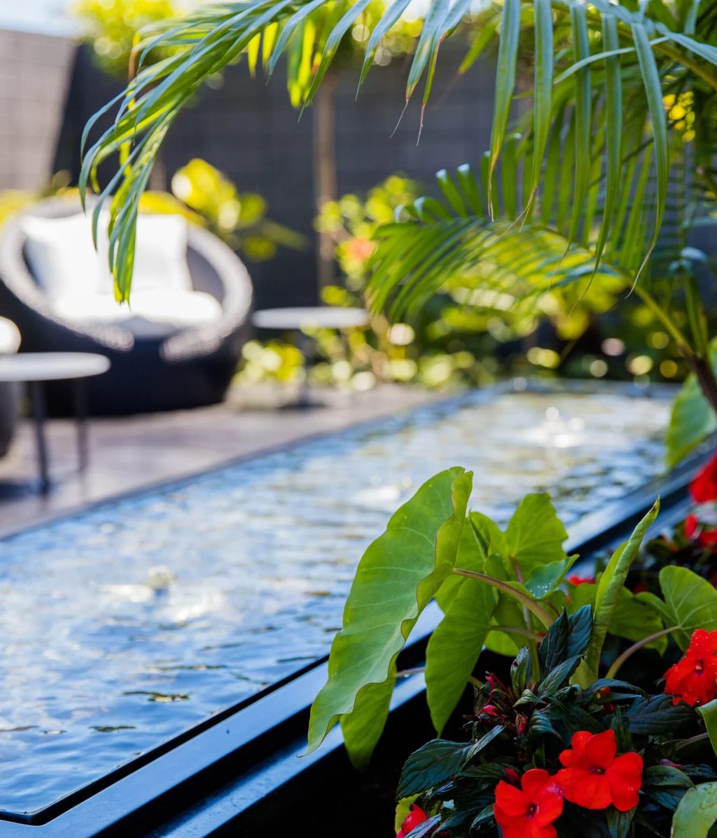 Tropical Garden Design: Everything You Need To Know