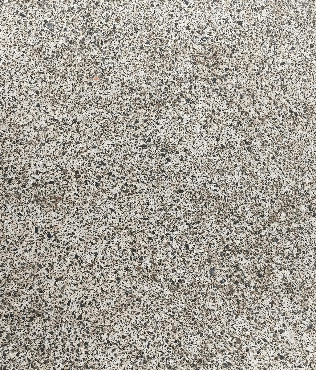 The Essential Guide to Caring for Polished Concrete Floors
