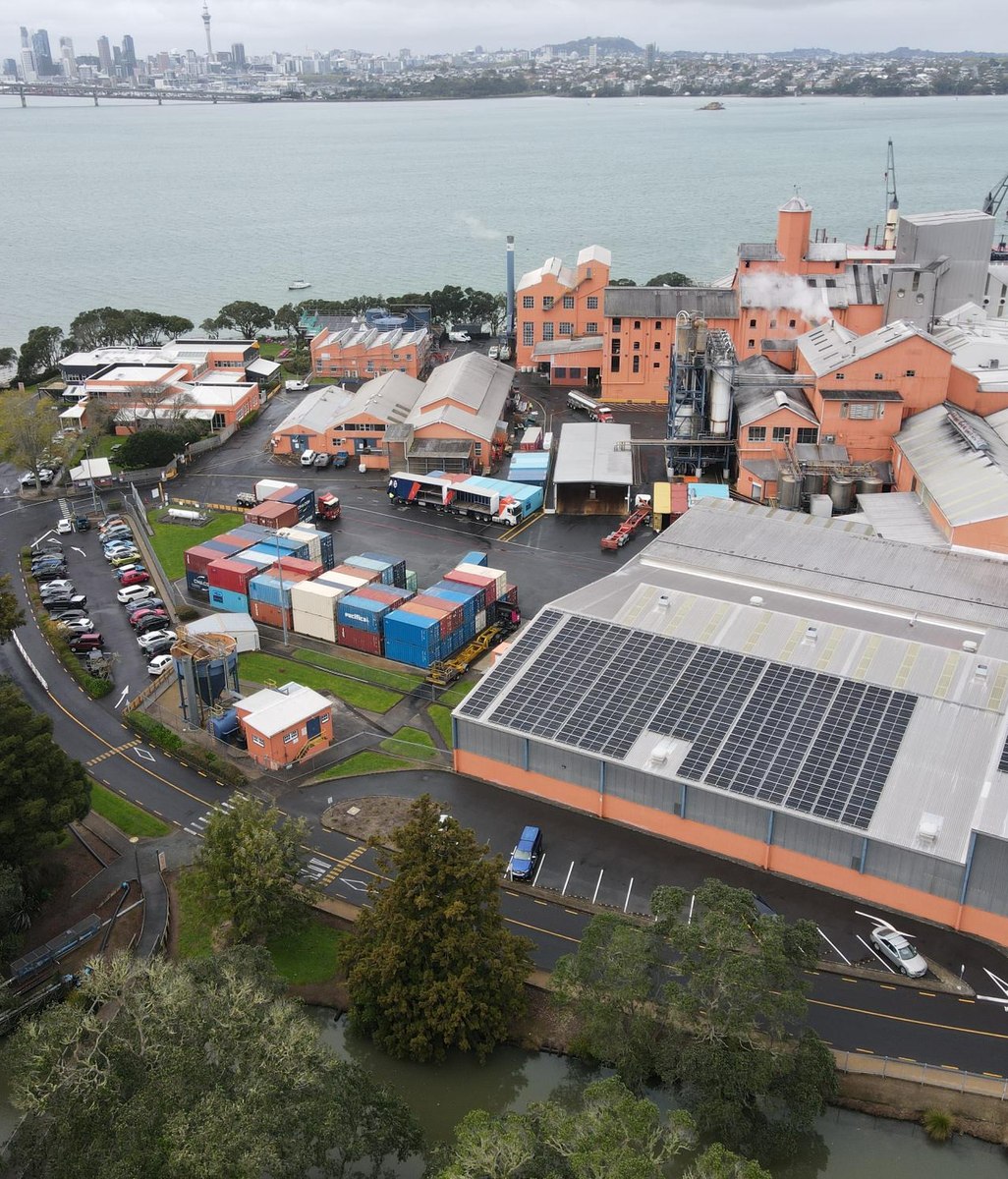 The Rise of Commercial Solar in New Zealand