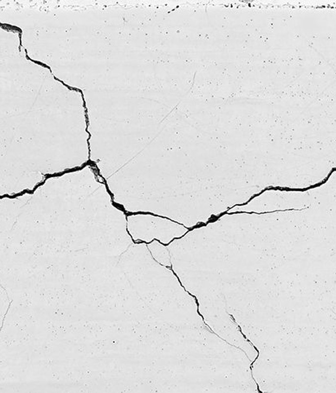 Why Are Auckland Homes Susceptible To Being Leaky?