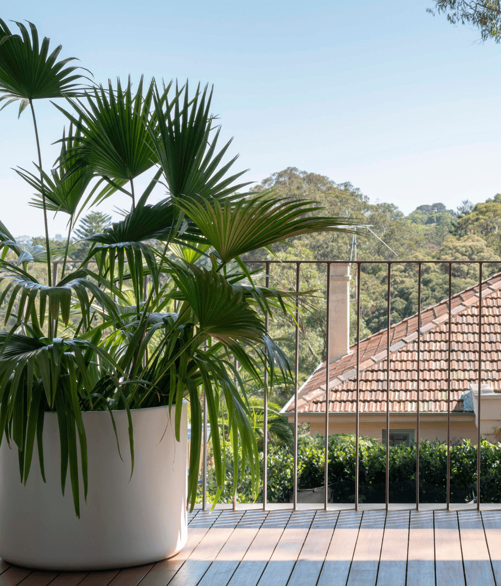 Garden Pots That Work Year-Round