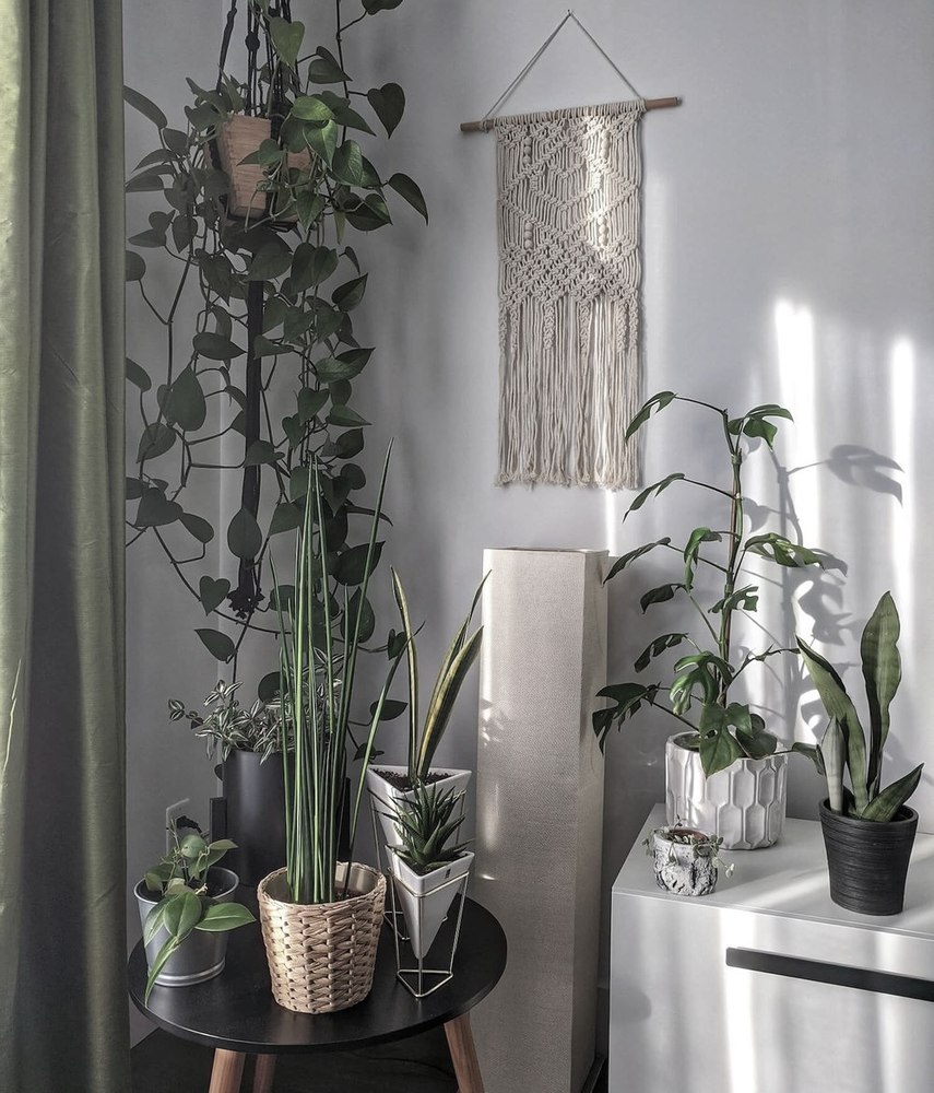 Interior Design for Happy and Healthy Homes