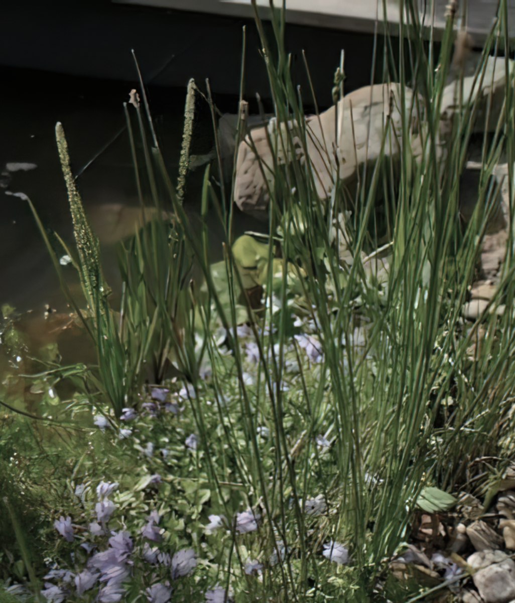 3 Benefits Of Using Eco-Friendly Landscaping Materials