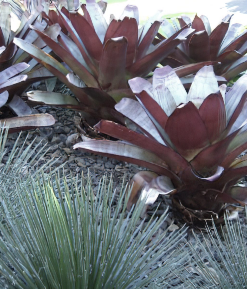 Low Maintenance Garden Design