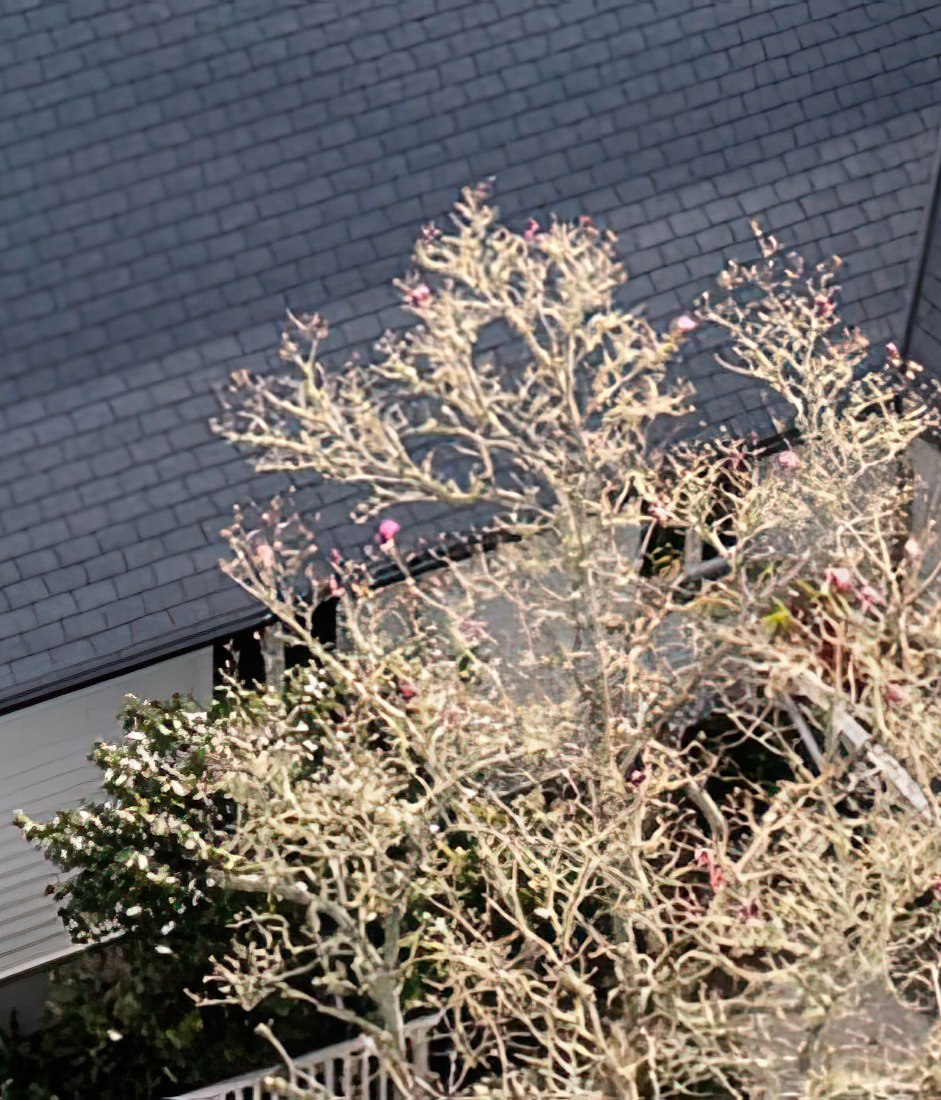 An Environmentally Responsible Alternative to Natural Slate