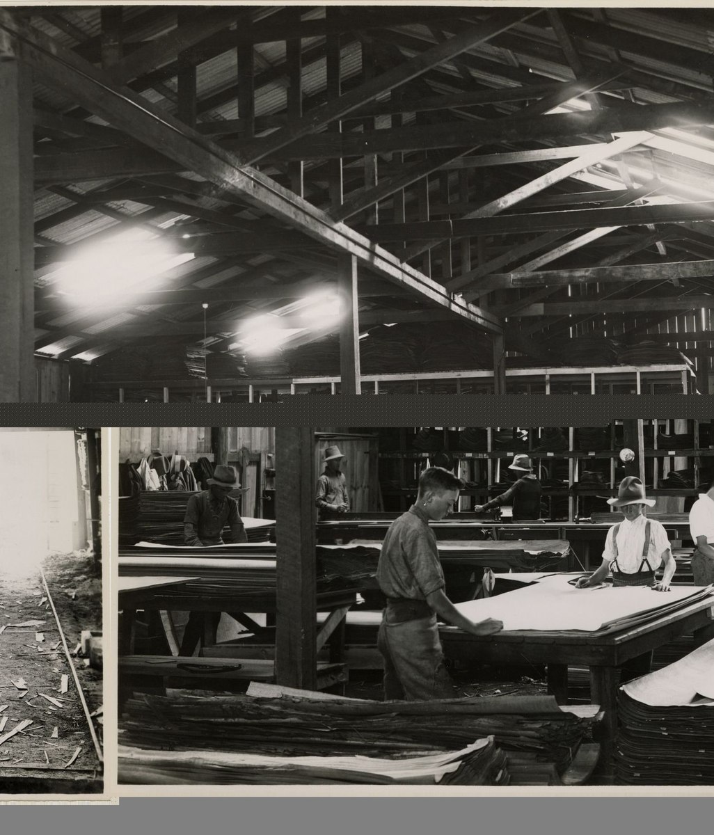 Austral Plywoods celebrates 100 years