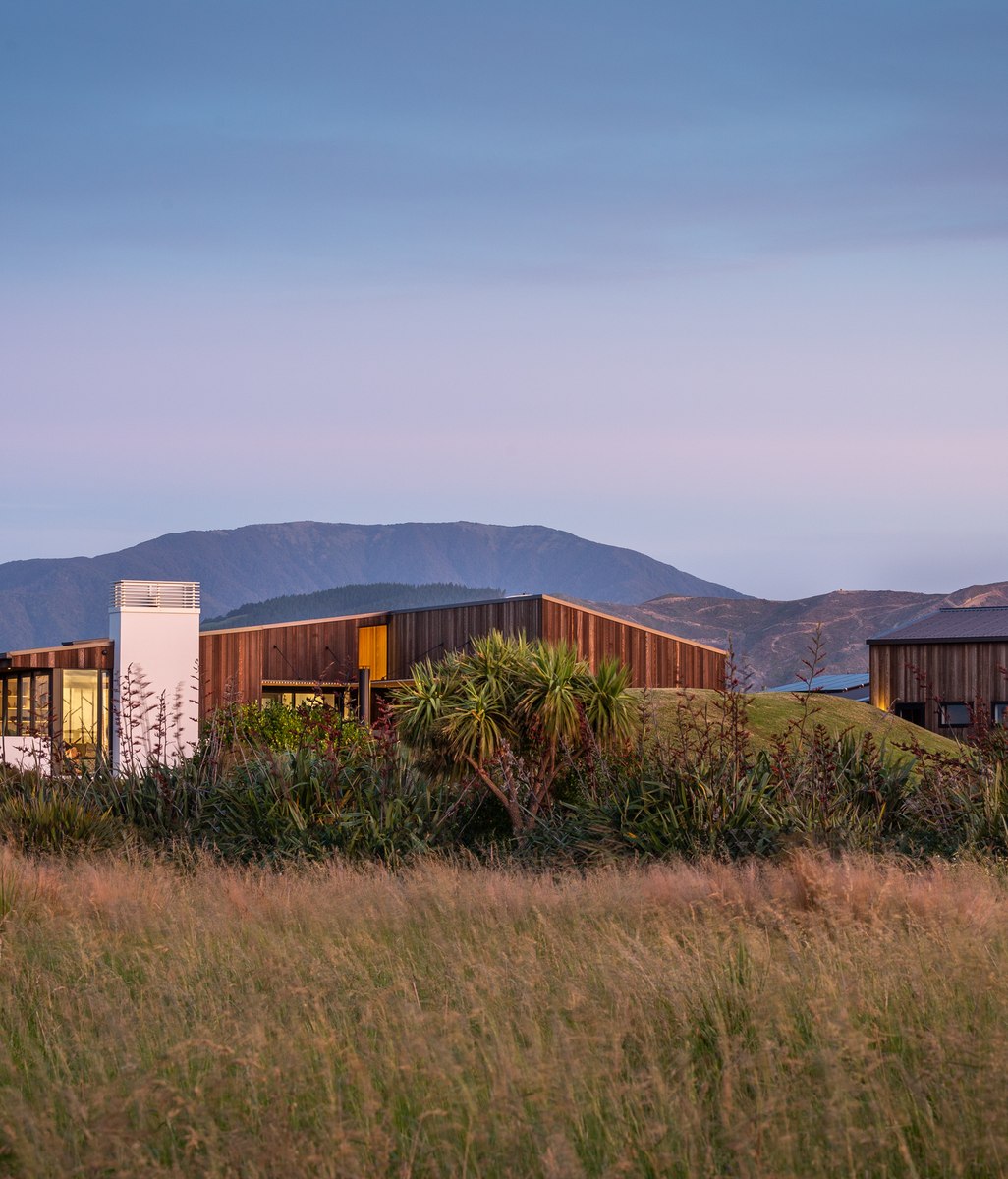 Takahē House: how a piece of driftwood inspired a seaside architectural marvel