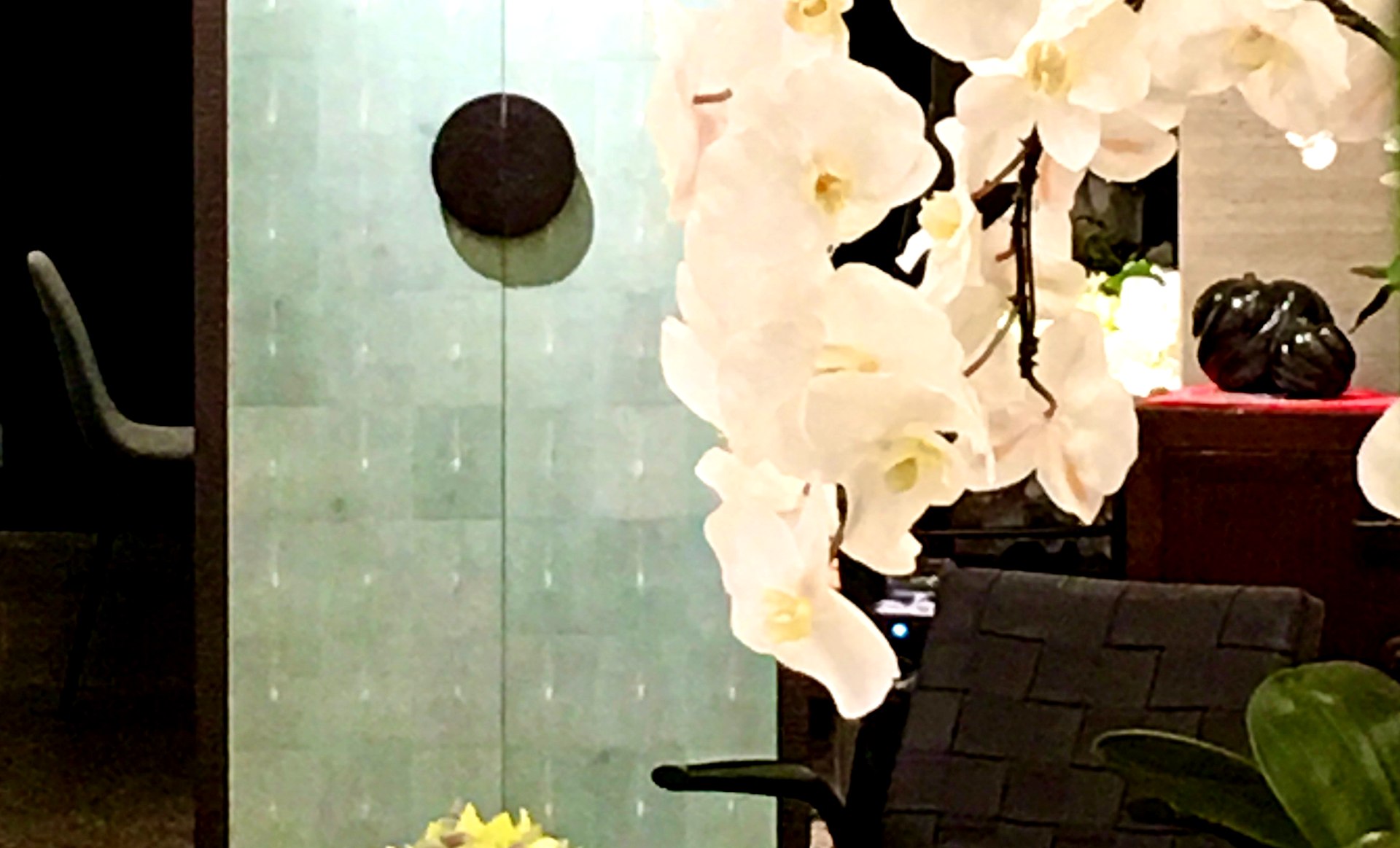 Gallery & Boutique, Auckland, New Zealand -  Winner Speciality Retail  | RED Design Awards 2019