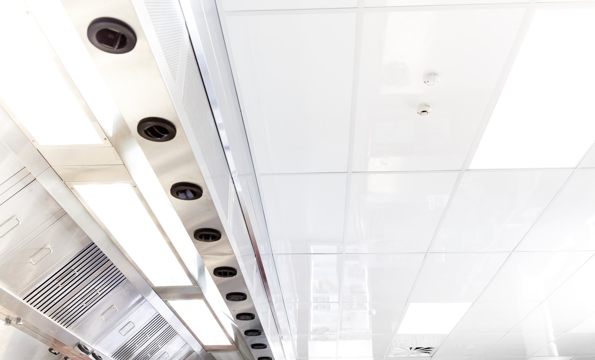 Fenta™ Ceiling Tiles