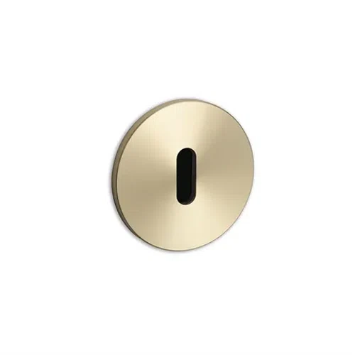 Brass Buster+Punch Cylinder Escutcheon