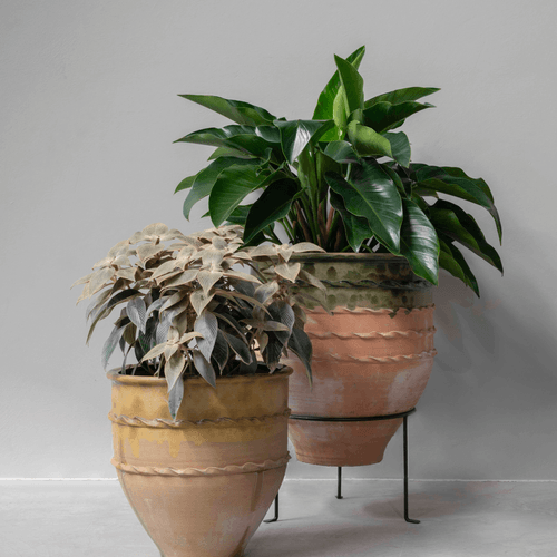 Green Glazed Turkish Dagar