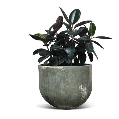 Natural Woodfired Bullet