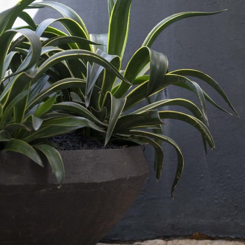 Bronze Woodfired Water Bowl