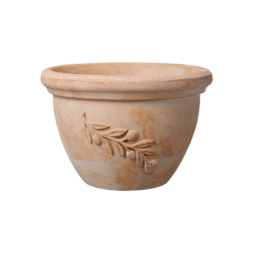 Terracotta Olive Bowls & Pots