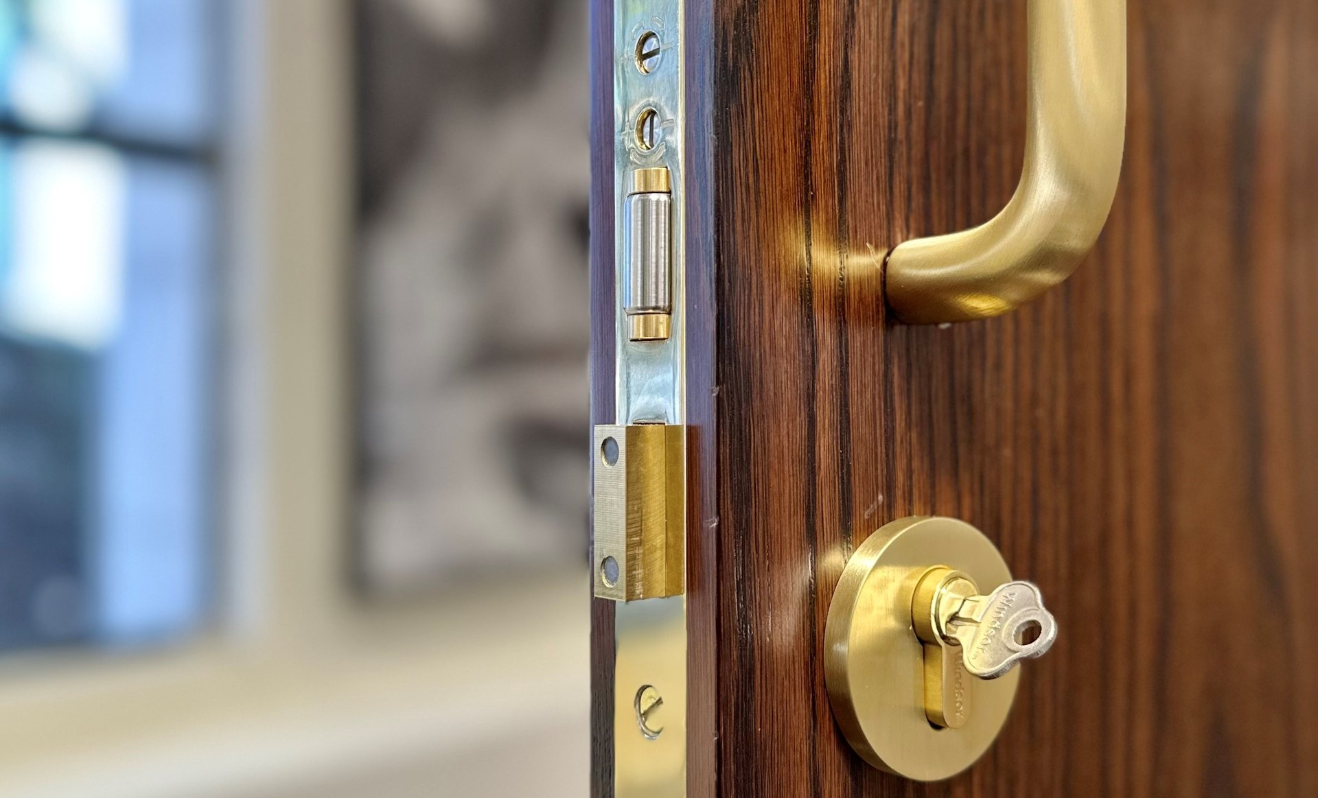HB2050 Adjustable High Security Roller Ball Euro Lock