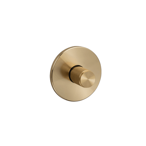 Brass Buster+Punch Linear Thumbturn Lock