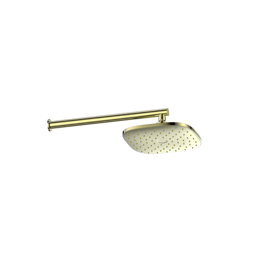 PVD Brushed Nickel Corban Wall Shower