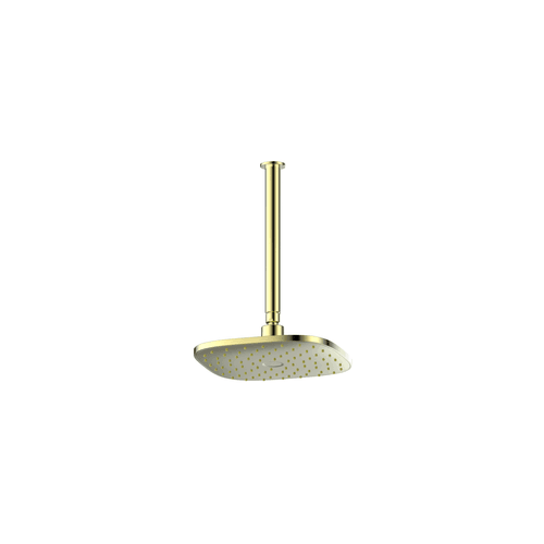 PVD Brushed Brass Corban Ceiling Shower