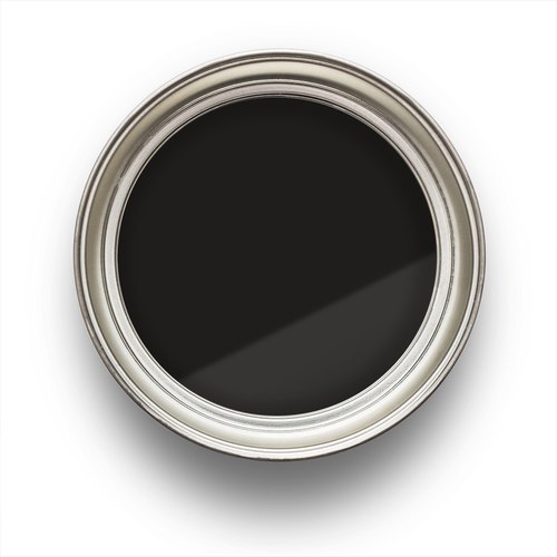 Black Robin Black Robin